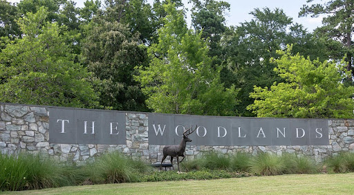 the woodlands aws image